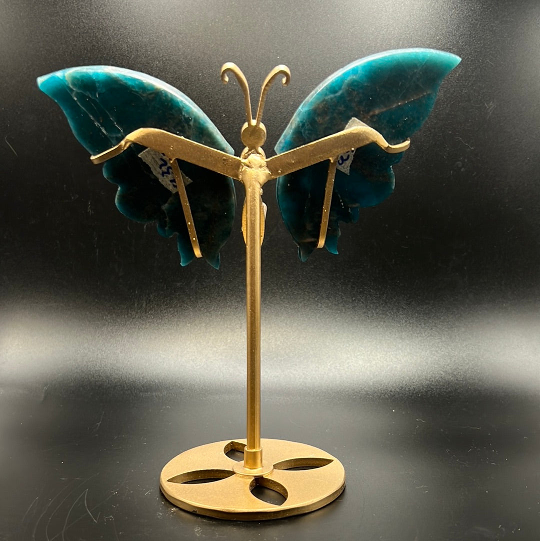 Blue Apatite Butterfly Wings