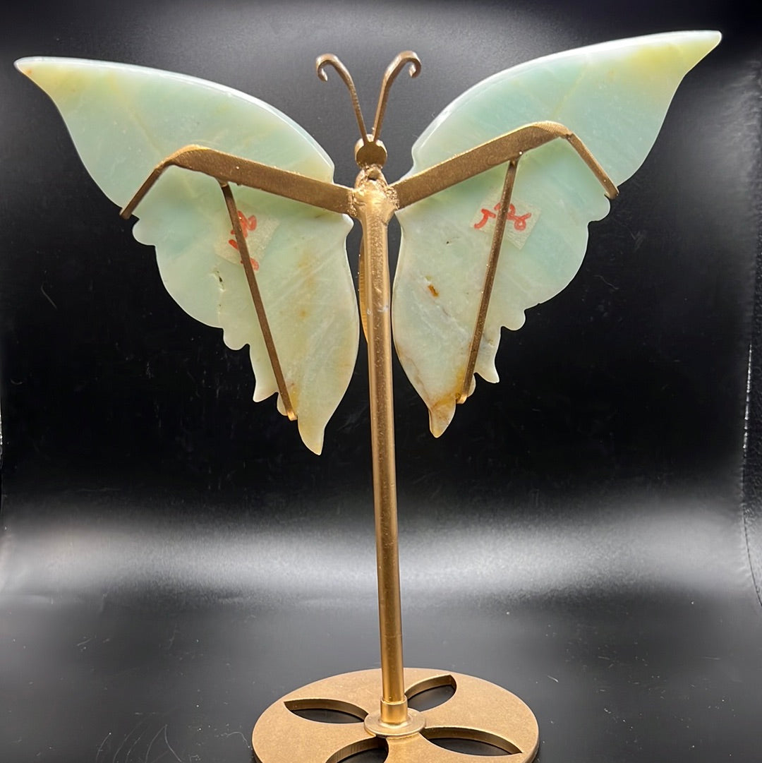 Carribean Calcite Butterfly Wings