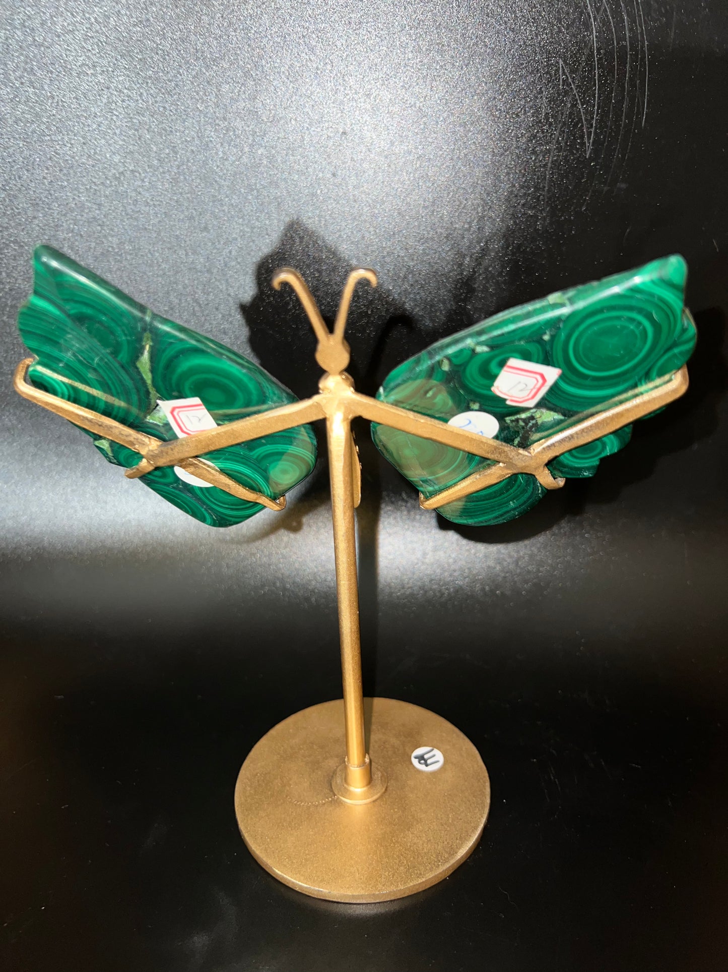 Natural Malachite Butterfly Wings