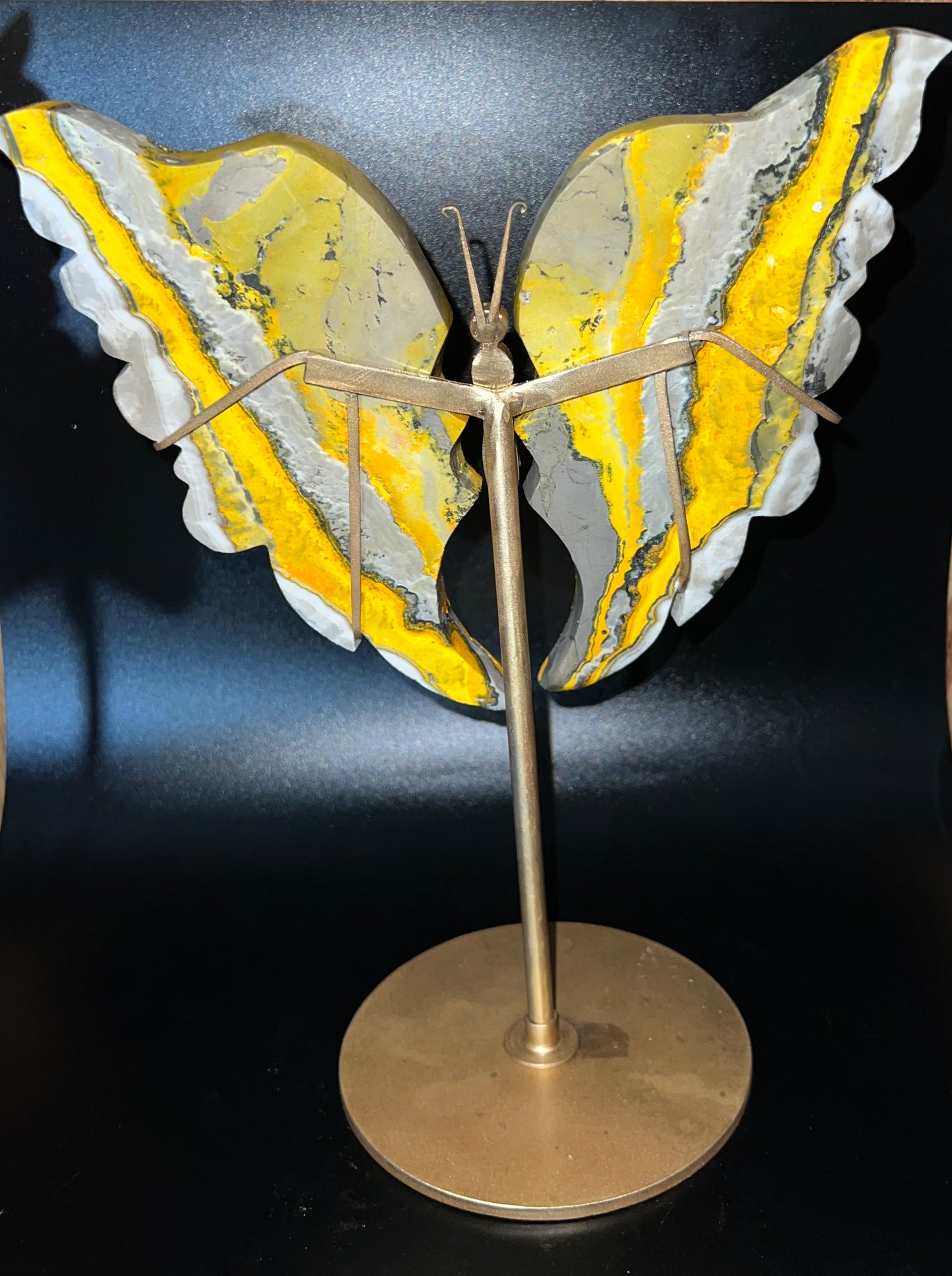 Large Bumblebee Jasper Butterfly Wings