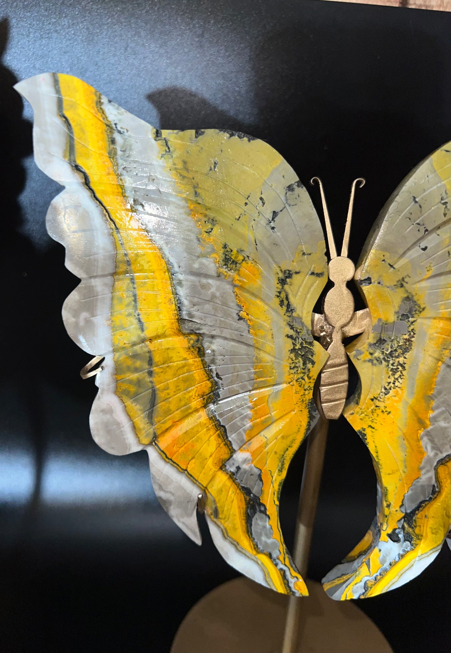 Large Bumblebee Jasper Butterfly Wings