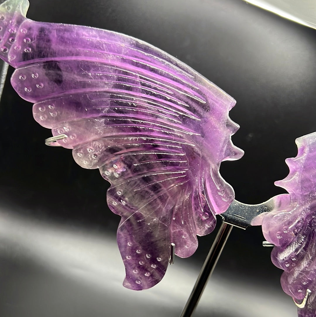 Rainbow Fluorite Butterfly Wings