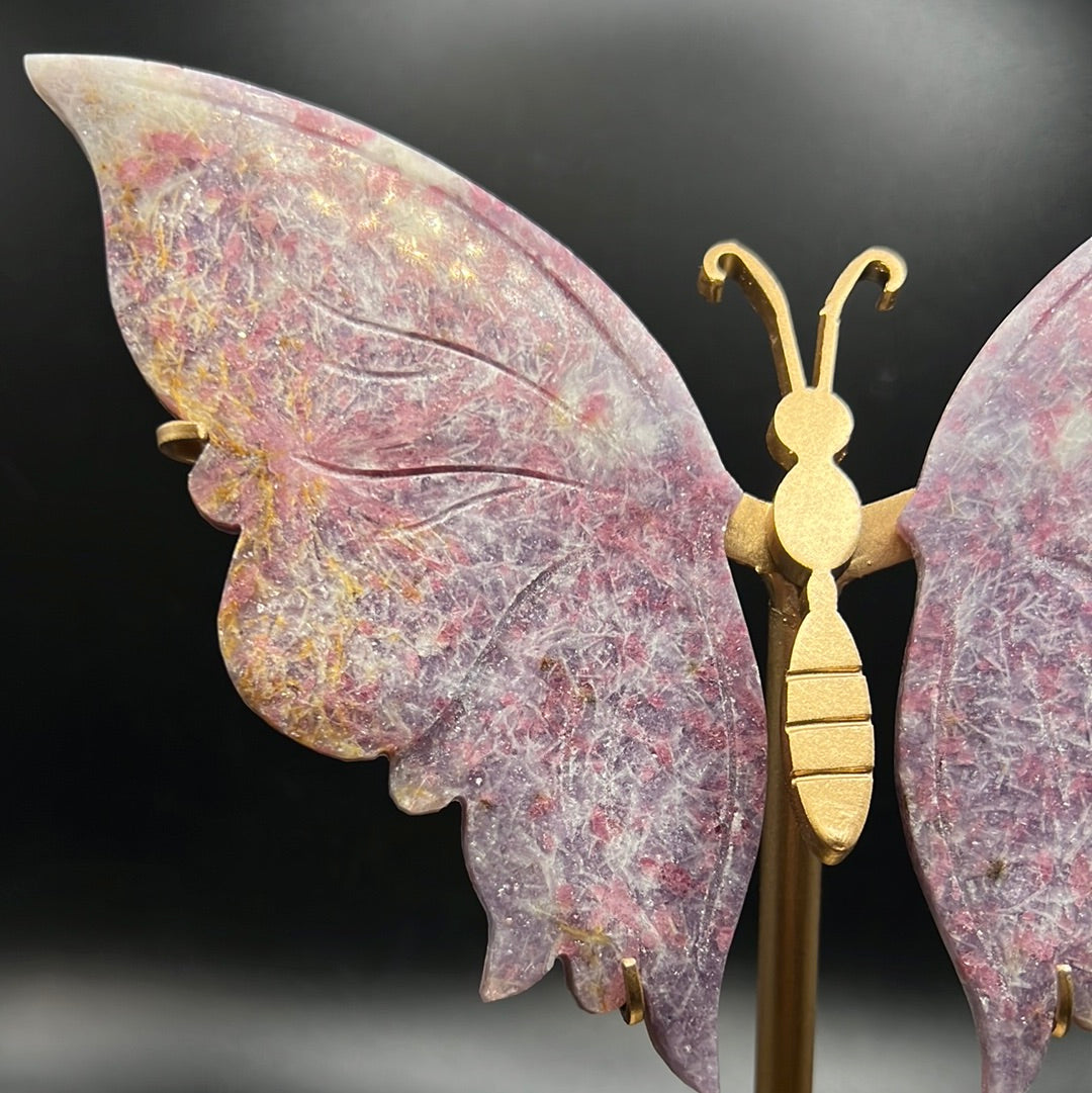 Unicorn Butterfly Wings