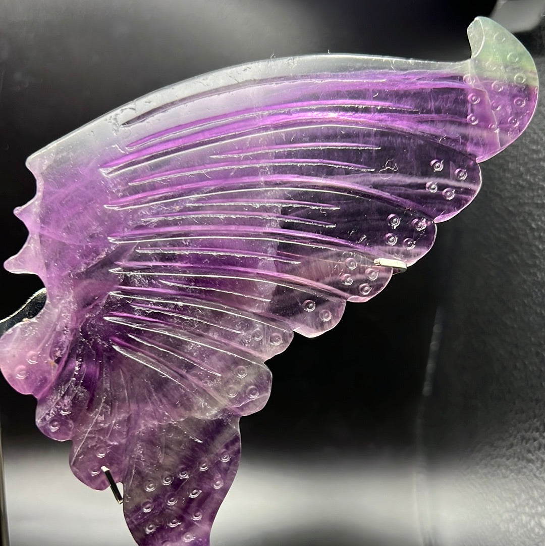 Rainbow Fluorite Butterfly Wings