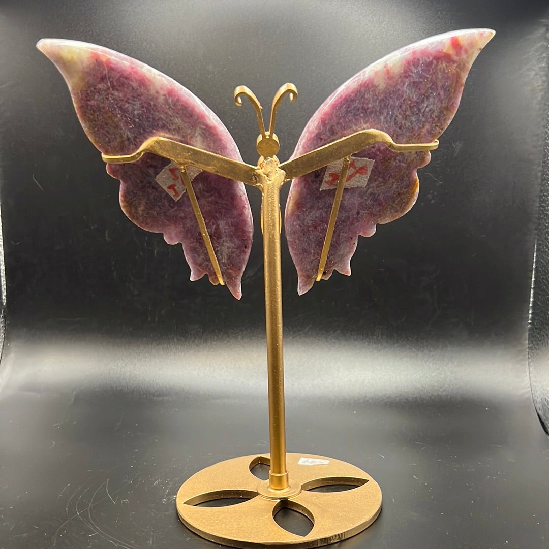Unicorn Butterfly Wings