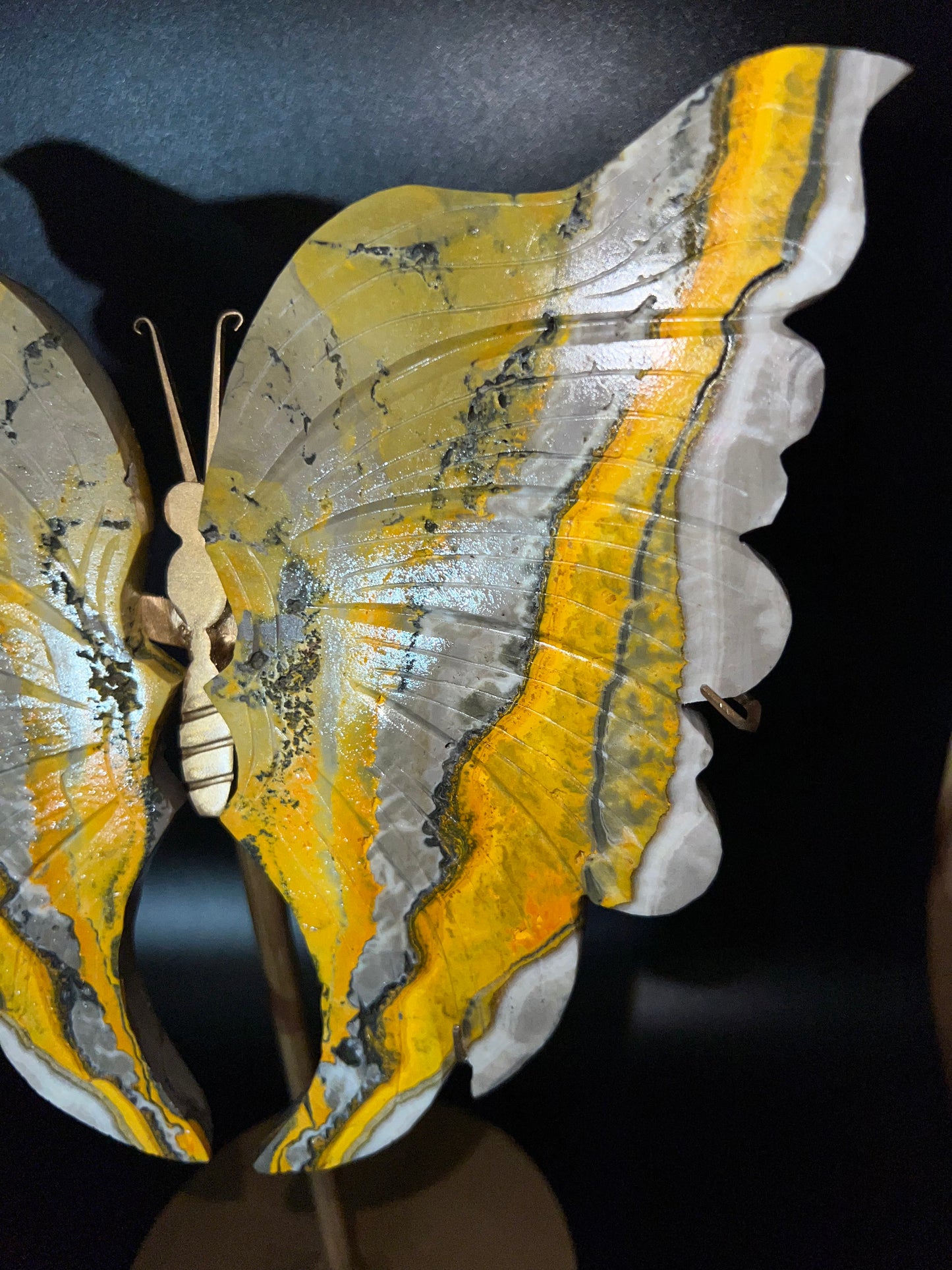 Large Bumblebee Jasper Butterfly Wings