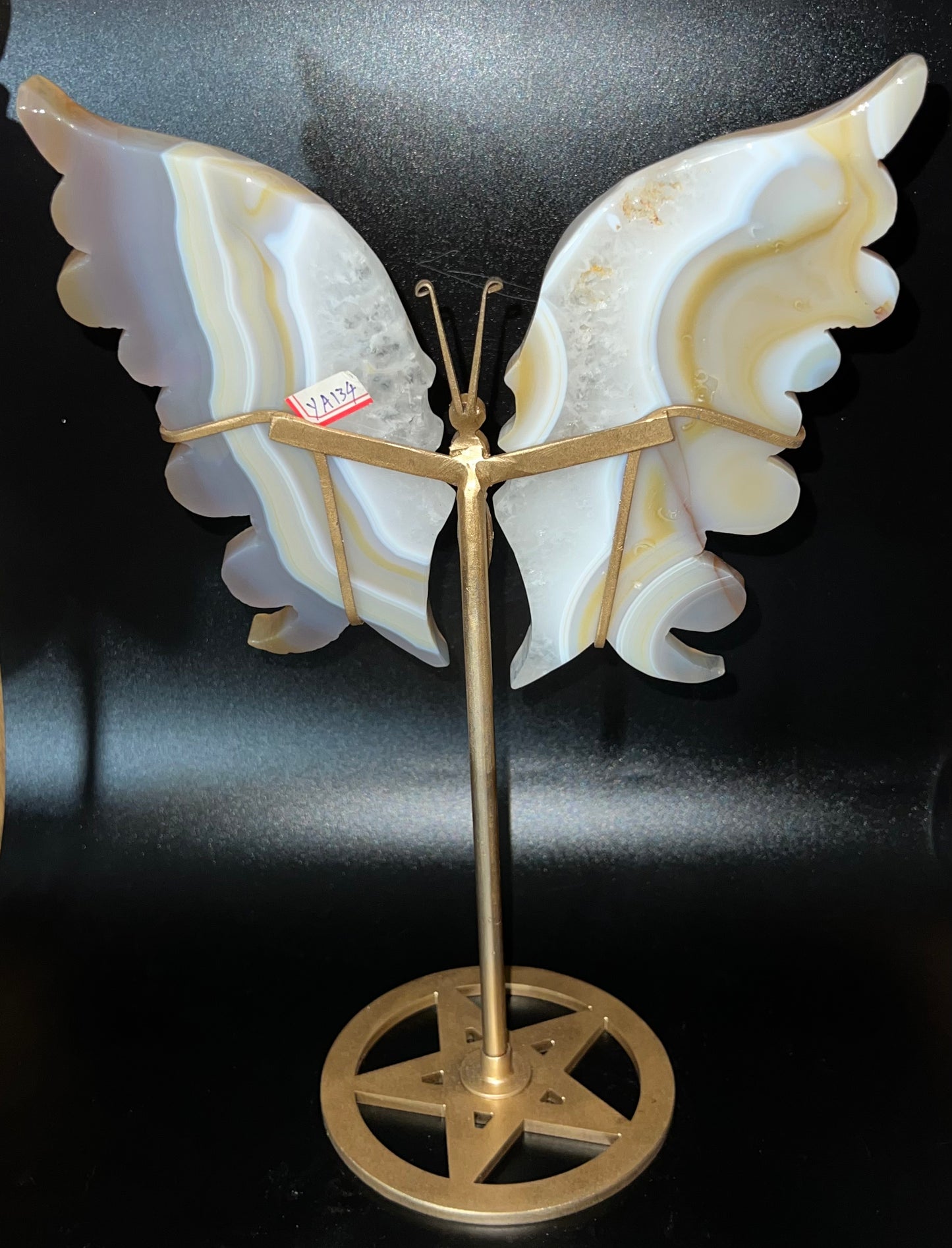 Large Banded Agate Butterfly Wings