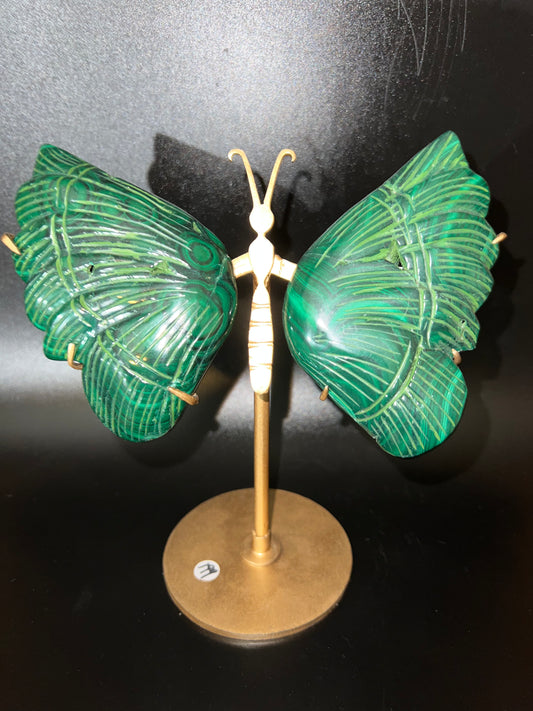 Natural Malachite Butterfly Wings