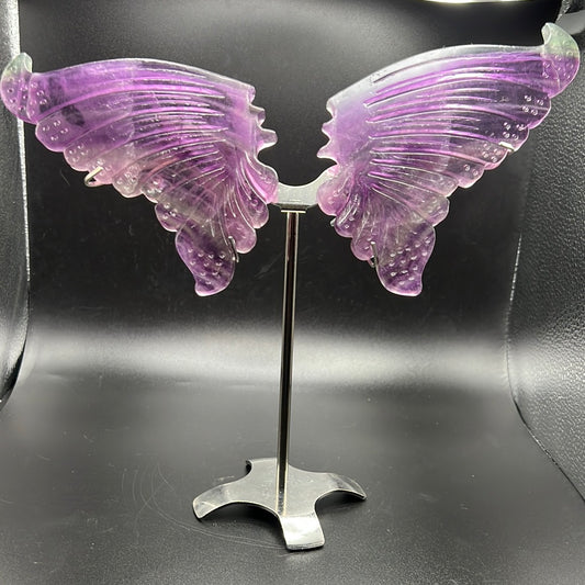 Rainbow Fluorite Butterfly Wings