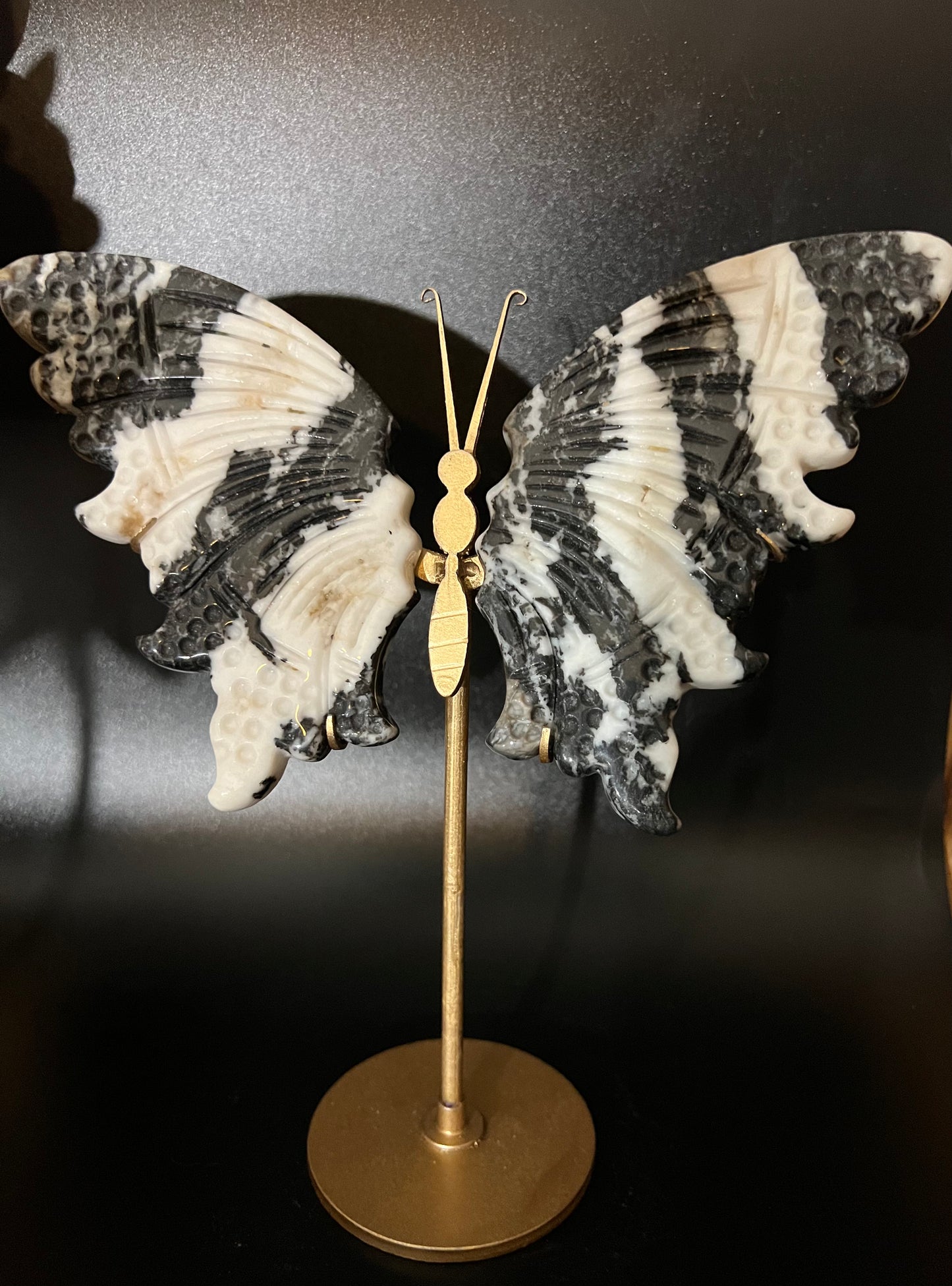 Zebra Calcite Wings