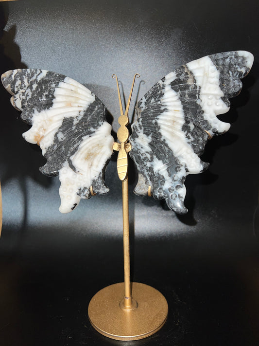 Zebra Calcite Wings