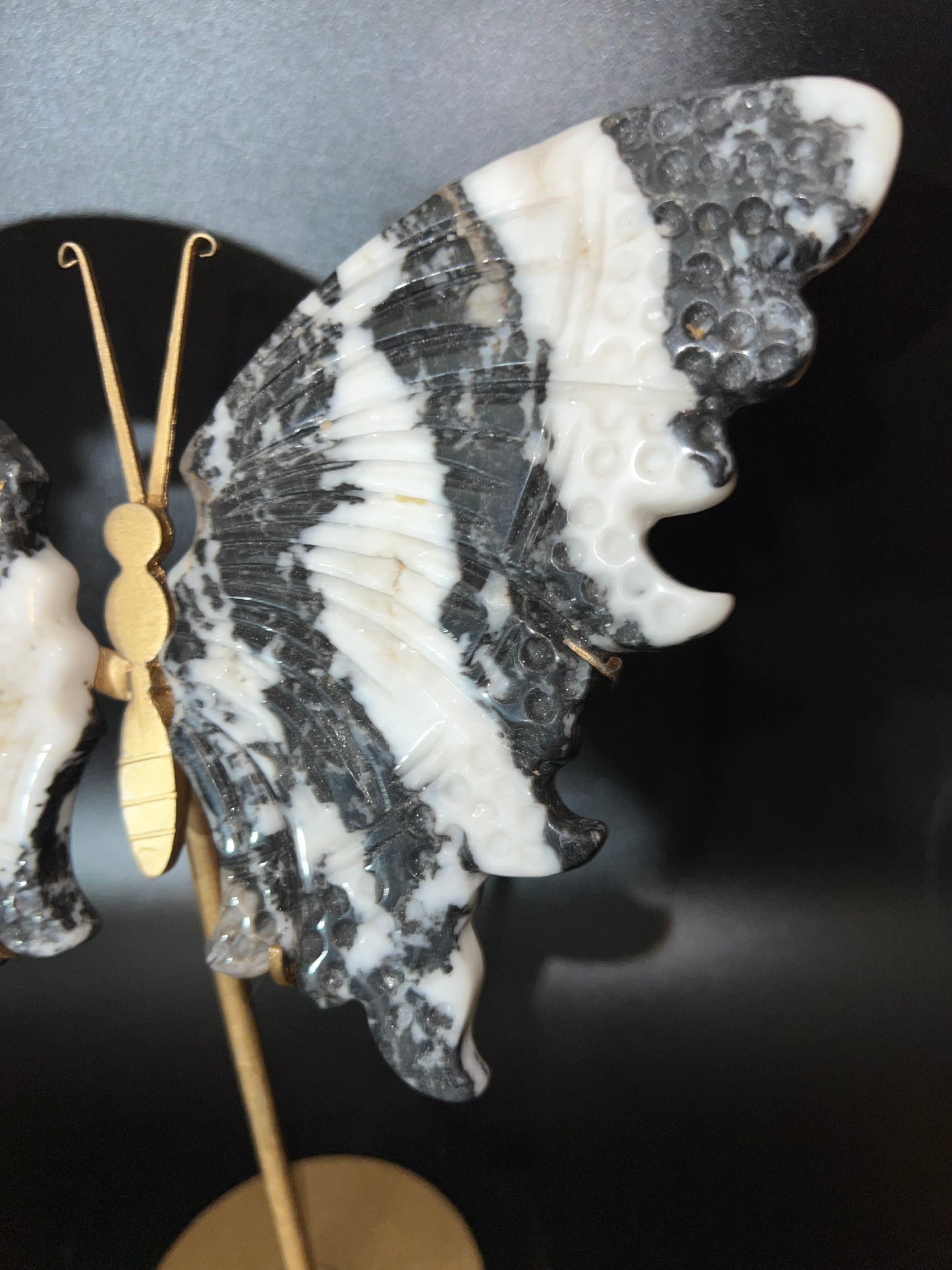 Zebra Calcite Wings