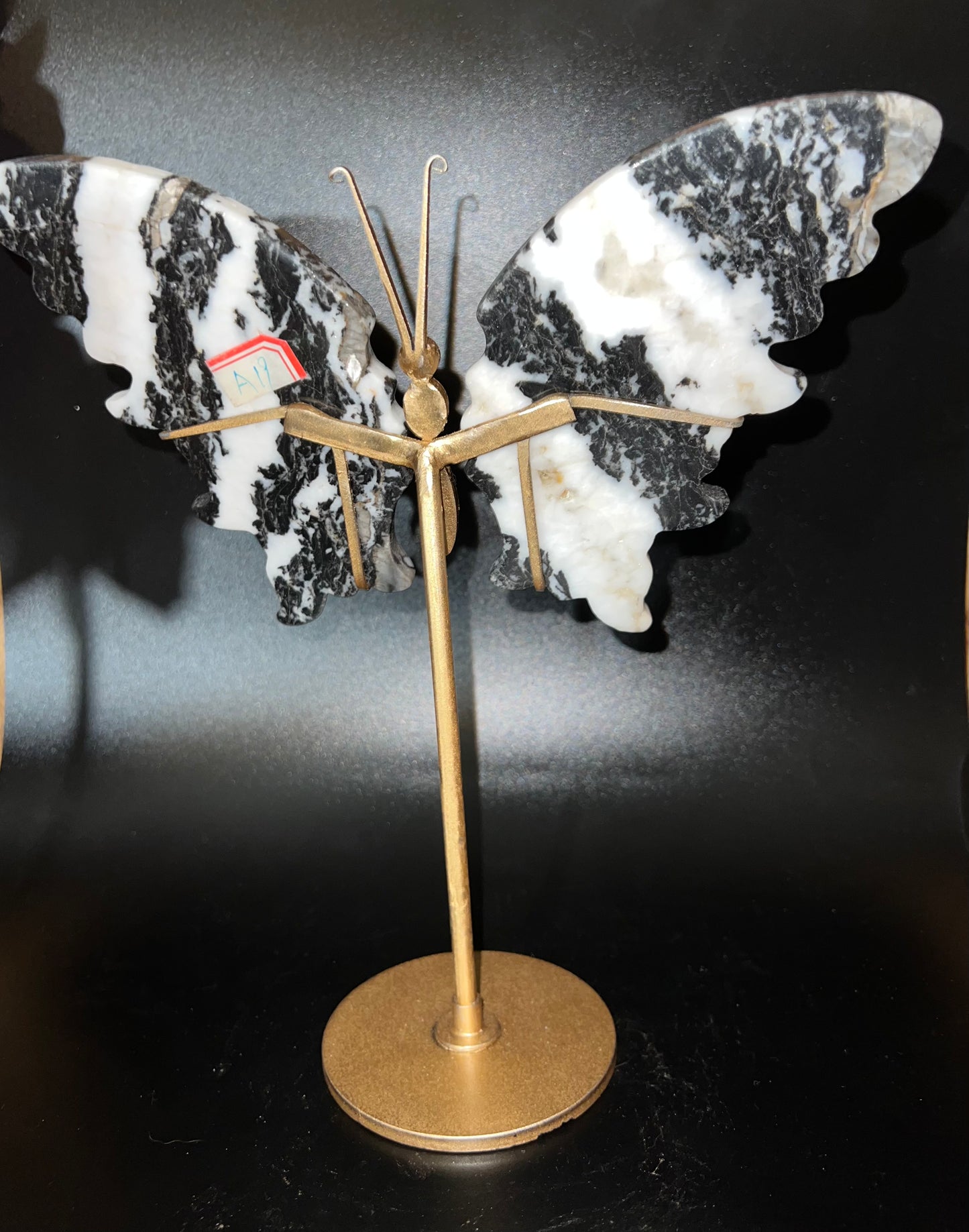 Zebra Calcite Wings