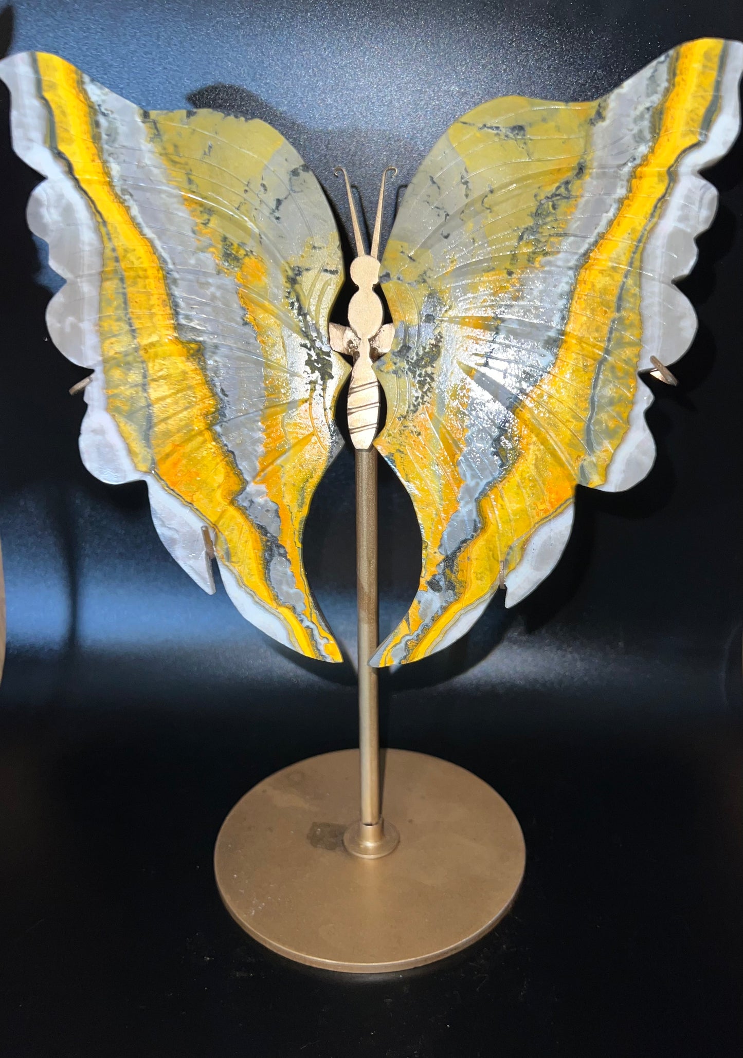 Large Bumblebee Jasper Butterfly Wings