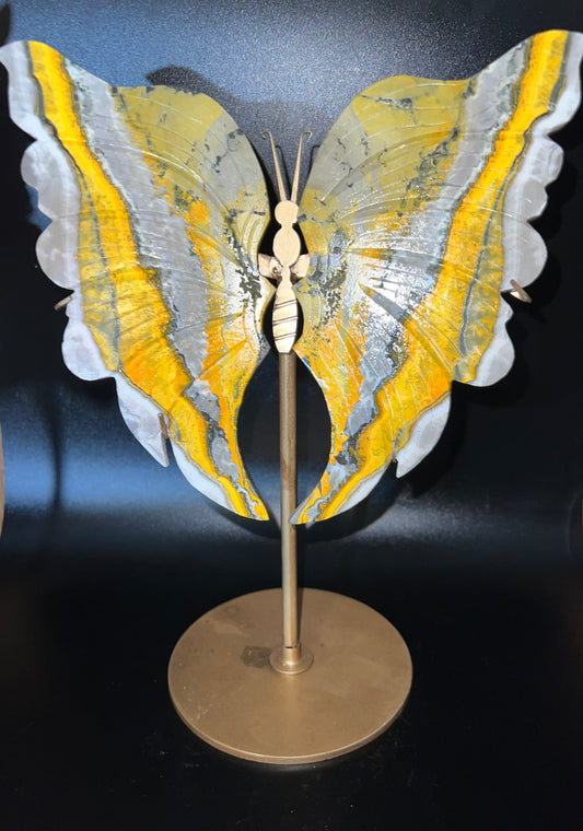 Large Bumblebee Jasper Butterfly Wings