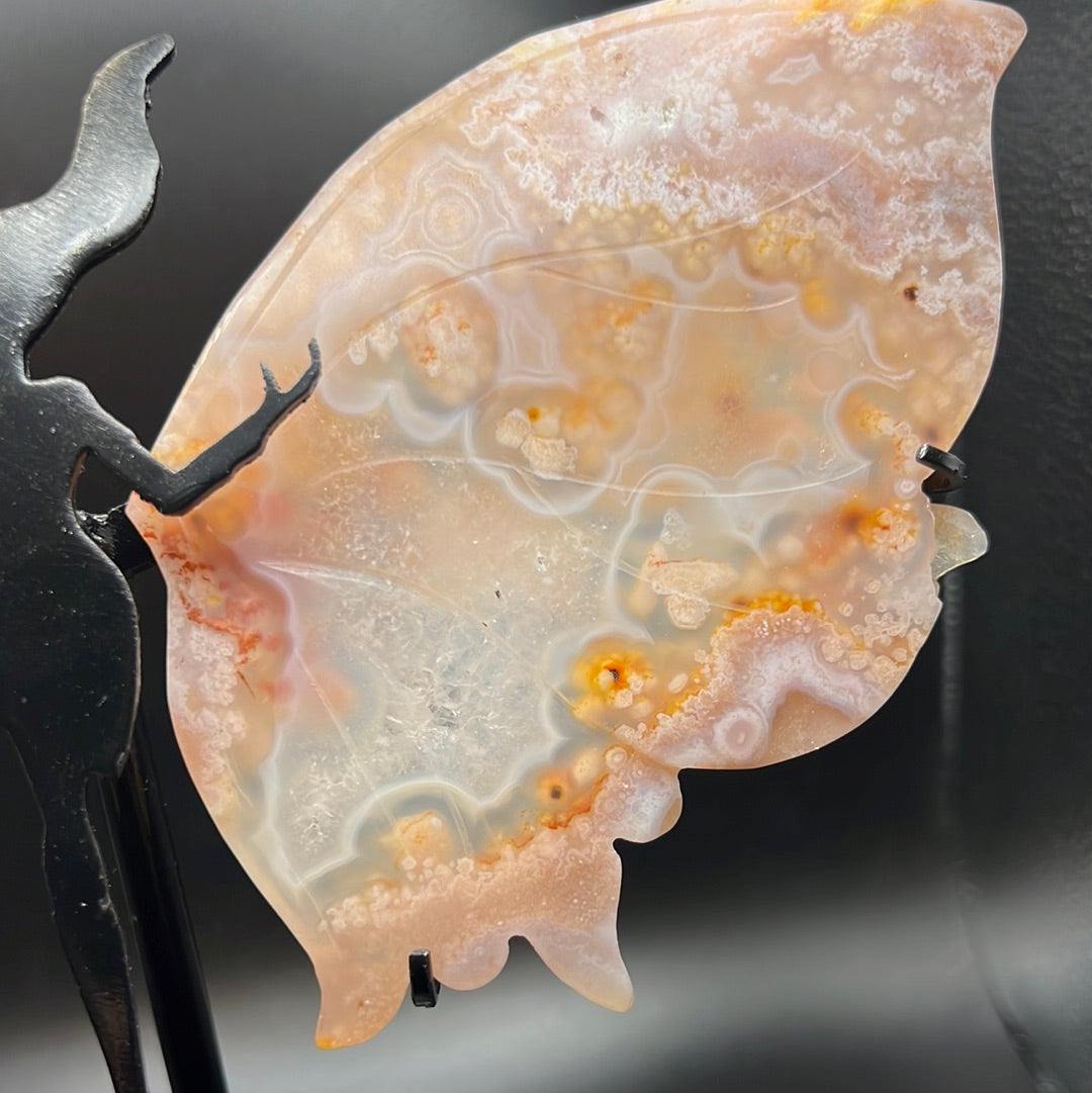 Pink Flower Agate Wings